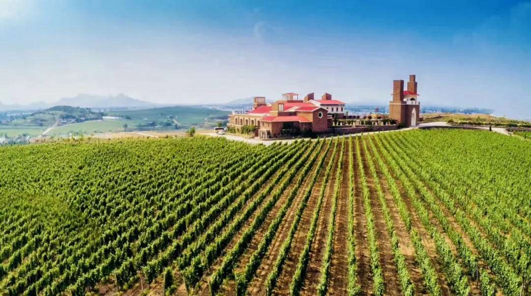 1585549826499168p5EB.jpg 565f5bf9-efb5-47d7-9ce6-6d9481878db7.jpg