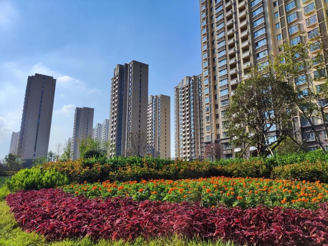 1666583235864465p48F.jpg 3.jpg